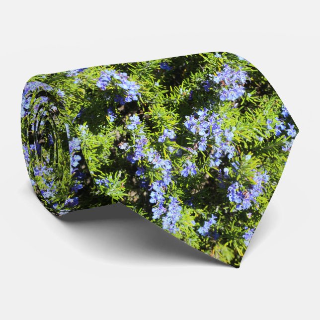 Blå rosmarin-blommor på grönt nål slips (Rullad)