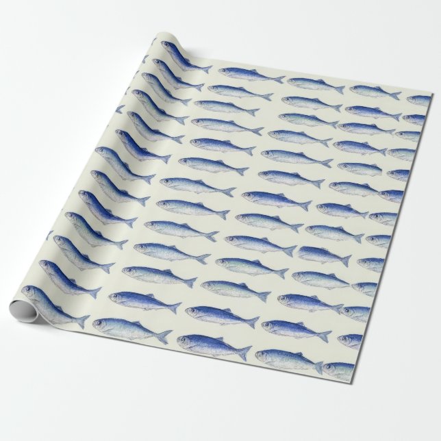 Blå sardiner Horisontell Minimal Kustmönster Presentpapper (Utrullad)