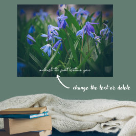 Blå scilla-blommor i vår-trädgården poster