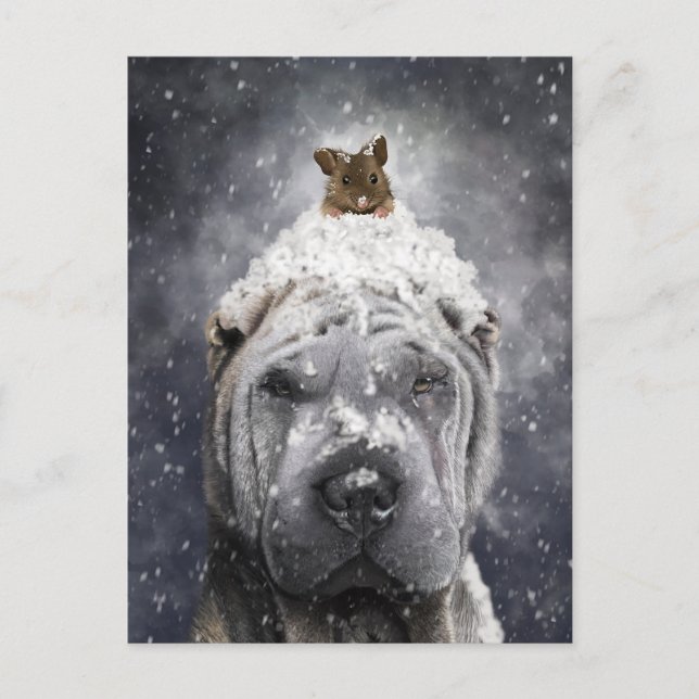 Blå Shar Pei i snön med en liten mus Vykort (Framsida)