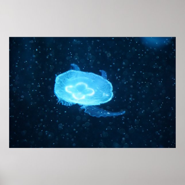 Blå simmande maneter poster (Framsidan)