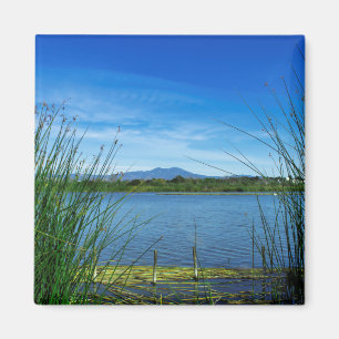 Blå Sjö Magnet