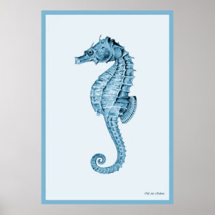 Blå sjöhäst poster
