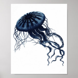Blå sjömanskård Kustdeka Poster