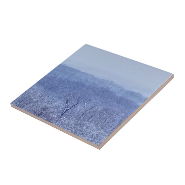 Blå skuggor kakelplatta (Sidan)