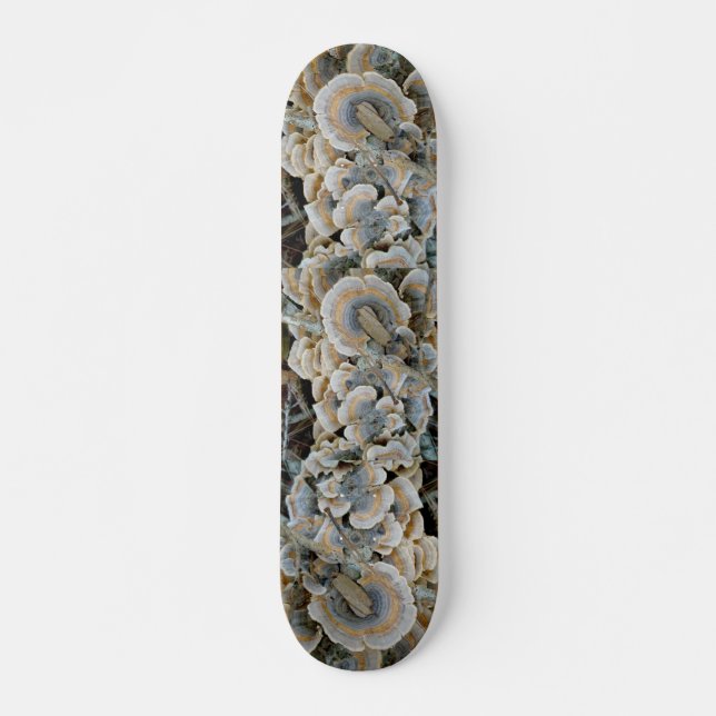 Blå skyddshölje Skateboard (Framsida)