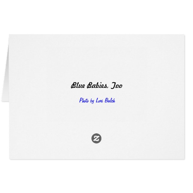 Blå Spädbarn, också OBS Kort (Baksidan Horizontal)