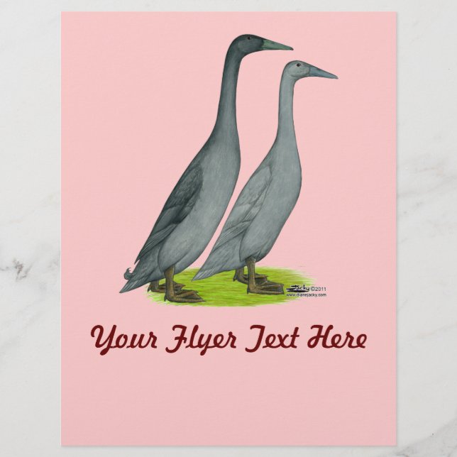 Blå Springer Anka Reklamblad (Framsidan)