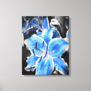 Blå Stargazer Wrapped Canvas