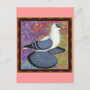 Blå Svälj Pigeon-ram Vykort
