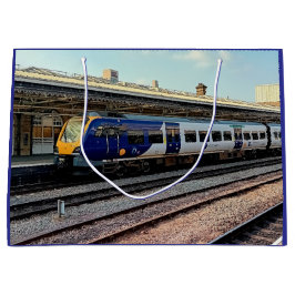 Blå tåg, vid station