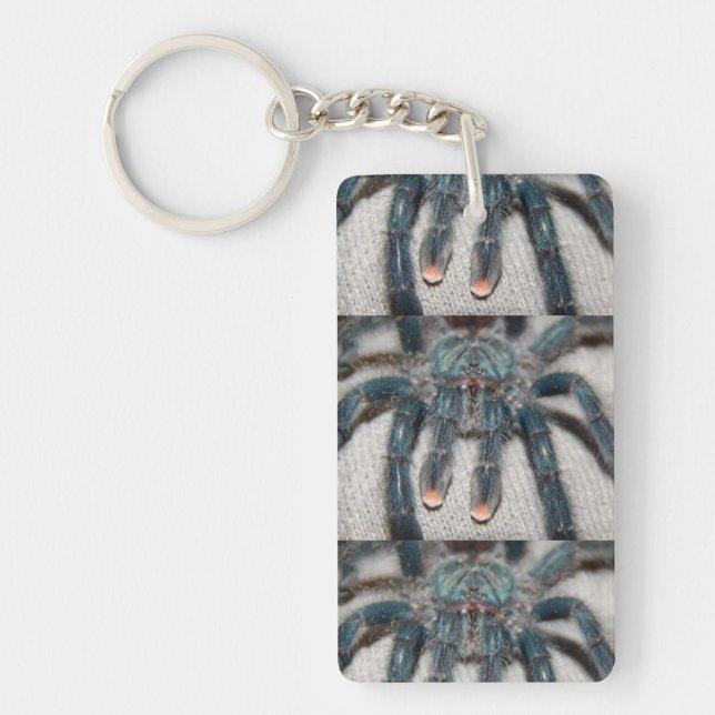 blå tarantula (Framsidan)