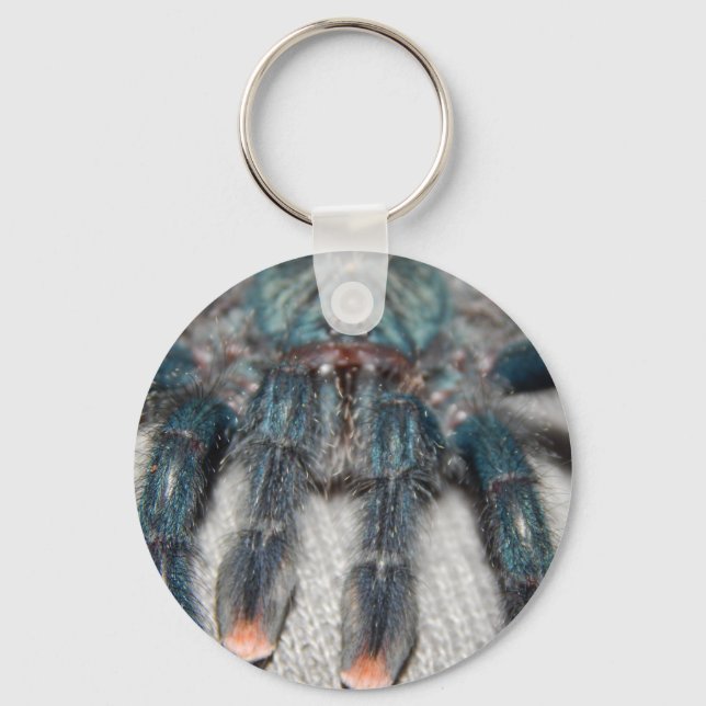 blå tarantula nyckelring (Framsida)