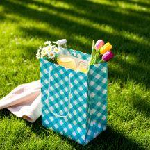 Blå Tartar plaid sommar