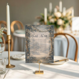 Blå Toile bröllopsdagsbords sittplatskarta