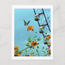 Blå Triangel Fjäril & Kosmos Blommor: Japan Vykort
