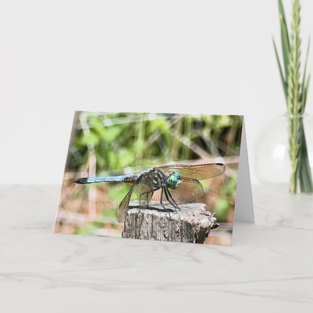 Blå Trollslända Hälsning  Kort (Framsida)