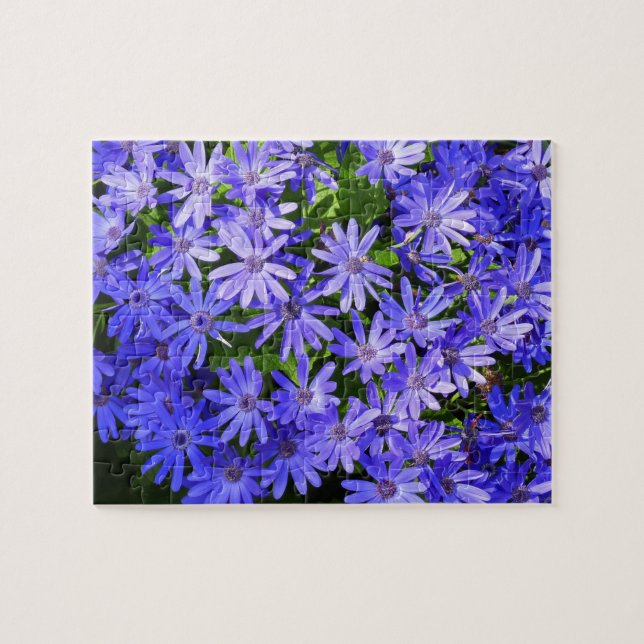 Blå tusensköneliknande blommor naturfotografering pussel (Horisontell)