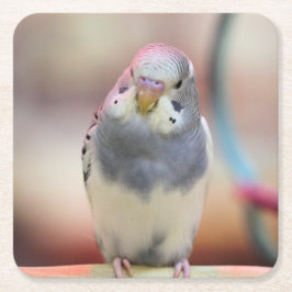 Blå Underlägg Papper Kvadrat