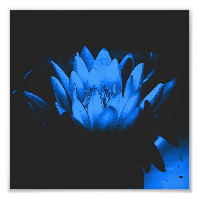 Blå Vatten Lily Lotus Flower Abstrakt 8x8 Fototryck (Framsidan)