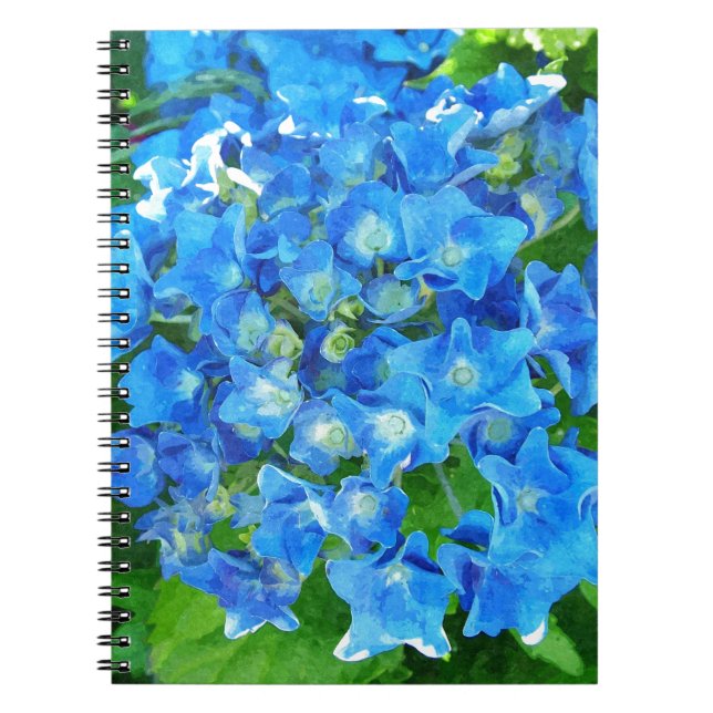 Blå vattenblommor. Floral-fotografi. Anteckningsbok (Framsidan)