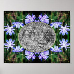 Blå Vild Cikoriarblommor Ram Lägg till ditt eget f Poster