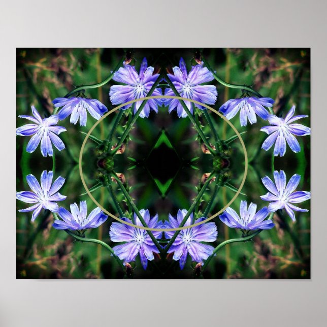 Blå Vild Cikoriarblommor Ram Lägg till ditt eget f Poster (Framsidan)