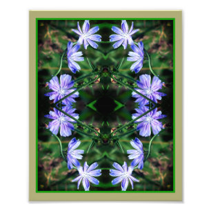 Blå Vild Cikoriarblommor Spegel Abstrakt 8x10 Fototryck