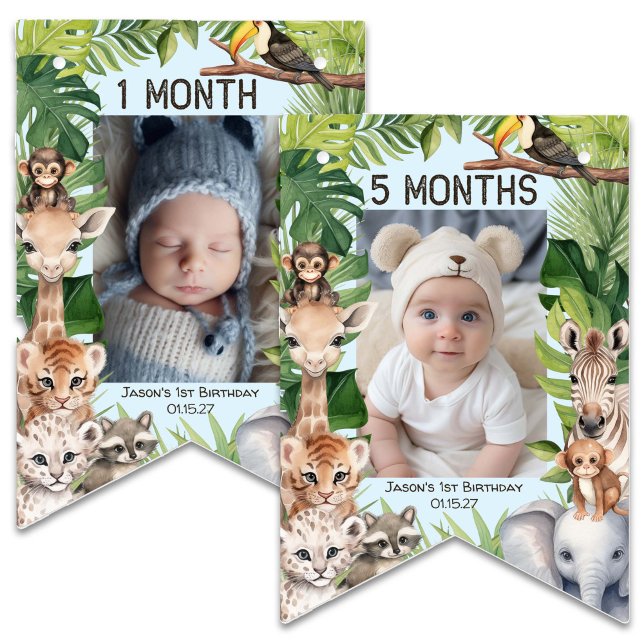 Blå Vild en Safari-test som togs emot den 1:a föde Vimplar (Blue Safari Animals, WIld One, Boy 1st birthday monthly photo banner. Birthday keepsake.)