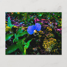 Blå vildblomma närbild med gröna blad vykort