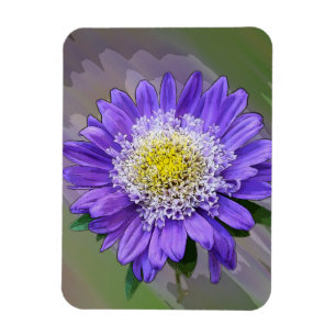 blå violett blomma magnet