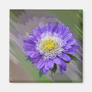blå violett blomma magnet