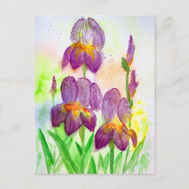 Blå-Violetta Iris i Vattenfärg Helg Vykort (Framsida)