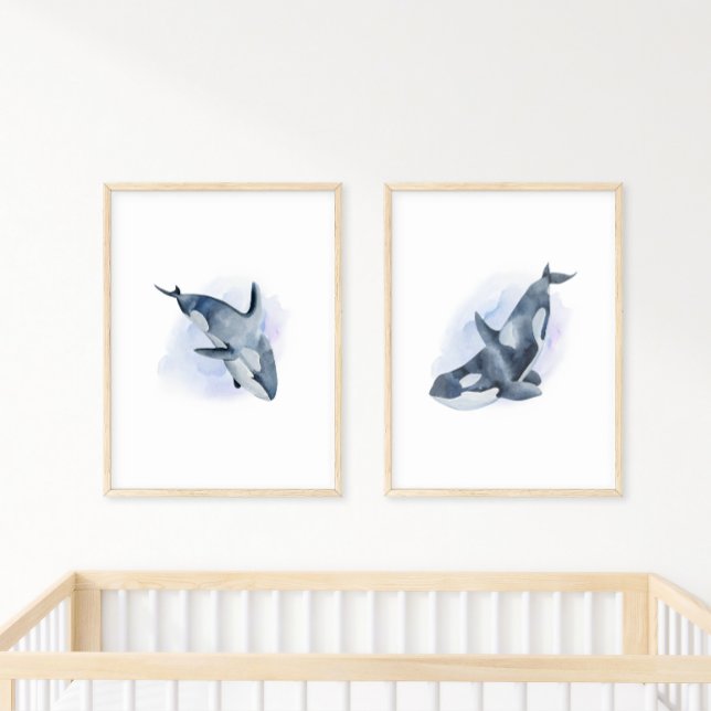 Blå Vit Akvarell Späckhuggare Poster (Skapare uppladdad)