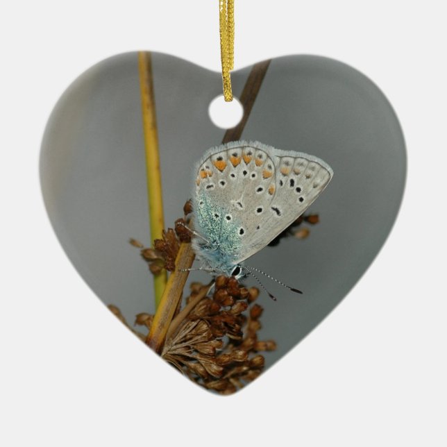 Blå vit Orange med Black Spots Butterfly Julgransprydnad Keramik (Framsidan)