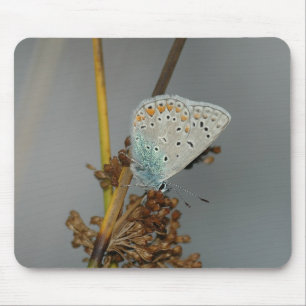 Blå vit Orange med Black Spots Butterfly Musmatta