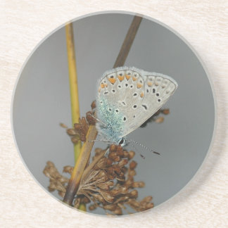 Blå vit Orange med Black Spots Butterfly Underlägg Sandsten