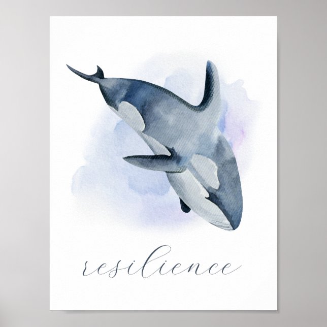 Blå vit vattenfärg Orca Killer Whale Poster (Framsidan)