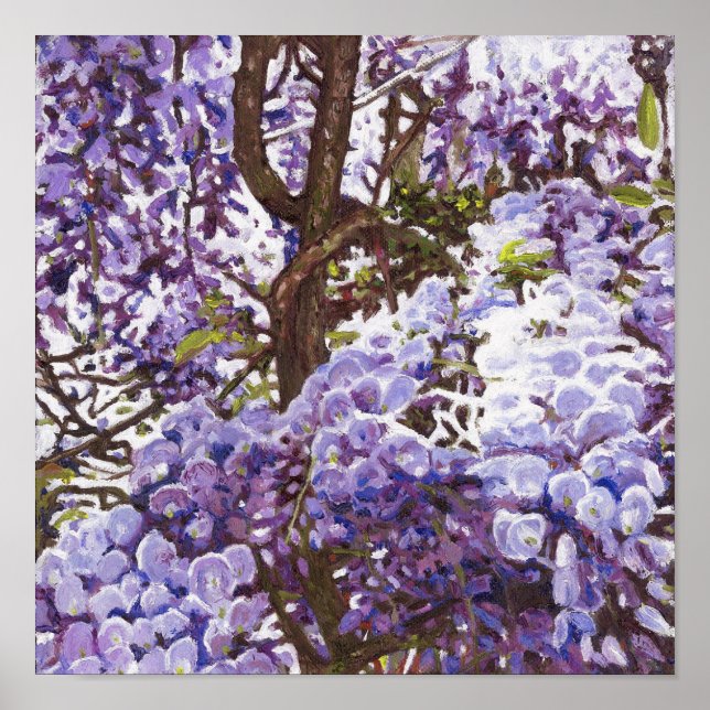 Blå wisteria 2011 poster (Framsidan)