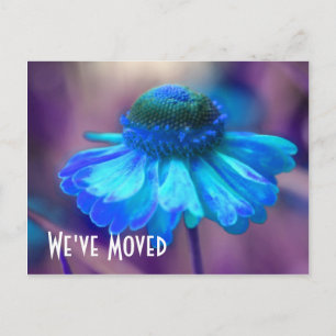 Blå Zinnia Ny adress Blommig vykort