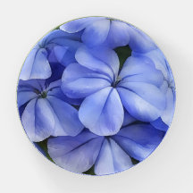 Blåa blommor Art Glass Blommigt Paperweight