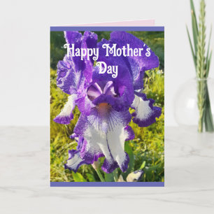 Blåa blommor Blommigt Iris Irises Mors dag Card Kort
