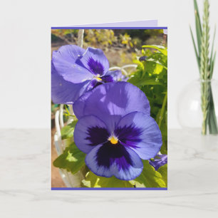Blåa blommor Blommigt Pansy Photo Art-kort Kort
