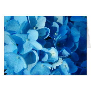 blåa blommor hälsningskort