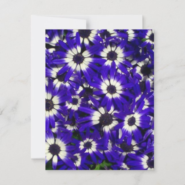 Blåa blommor-inbjudan inbjudningar (Framsida)