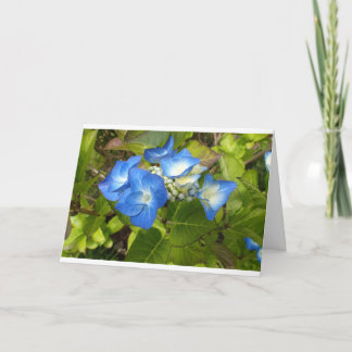 Blåa blommor Notecard Kort