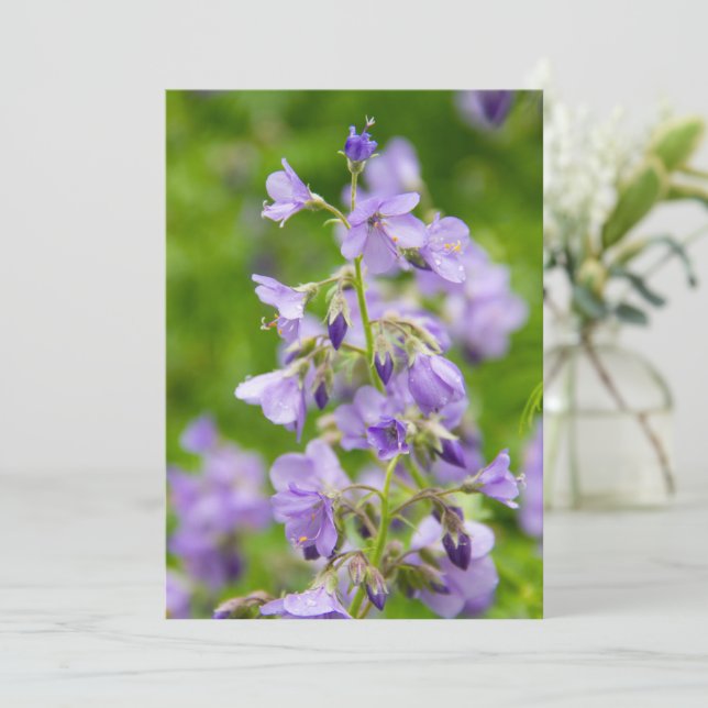 Blåa blommor på grönten fält i vår (Stående Fram)