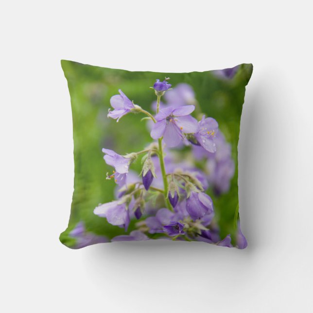 Blåa blommor på grönten fält i vår kudde (Framsida)