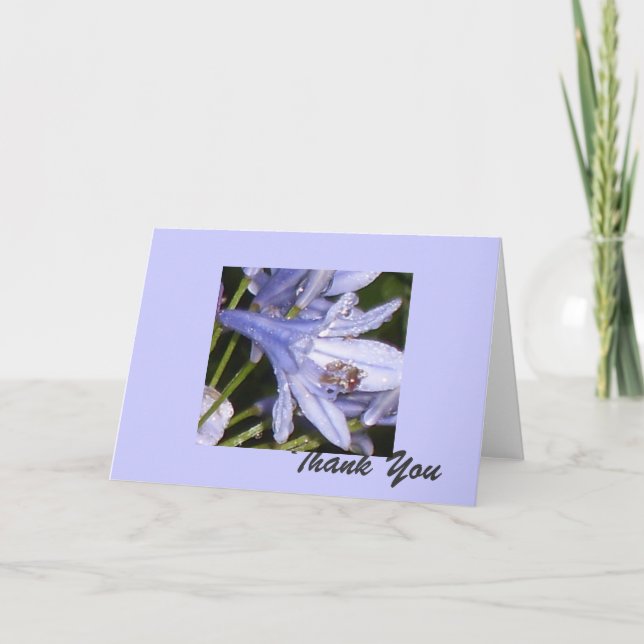 Blåa blommor på morgonen 1, Tack Kort (Framsida)