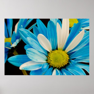 Blåa blommor Poster